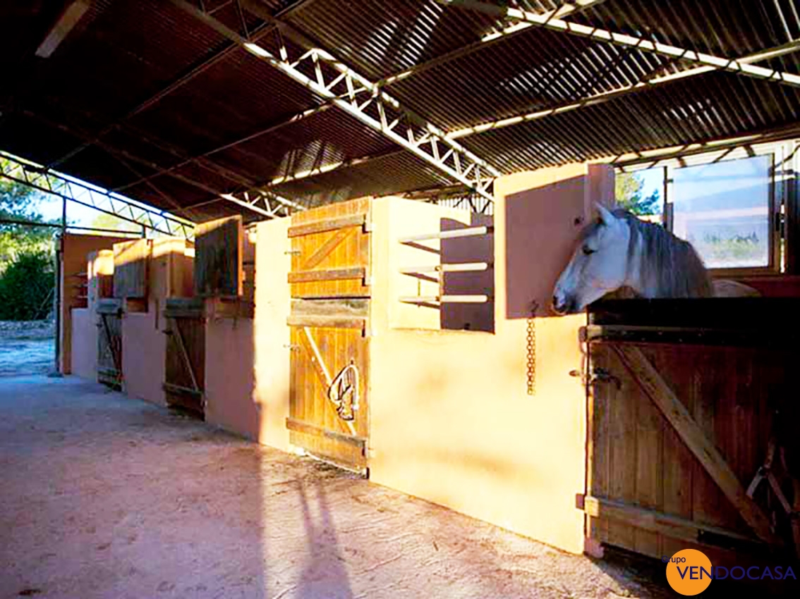 Superb Finca with horses & stables