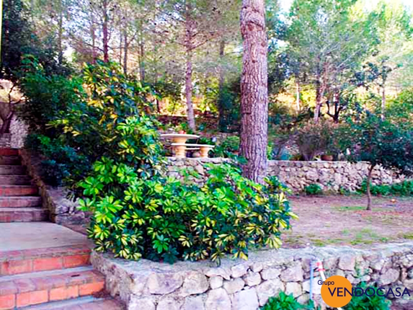 Superb Finca with horses & stables