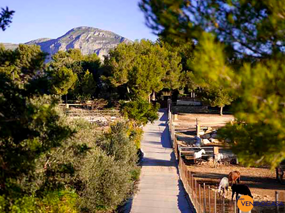 Superb Finca with horses & stables