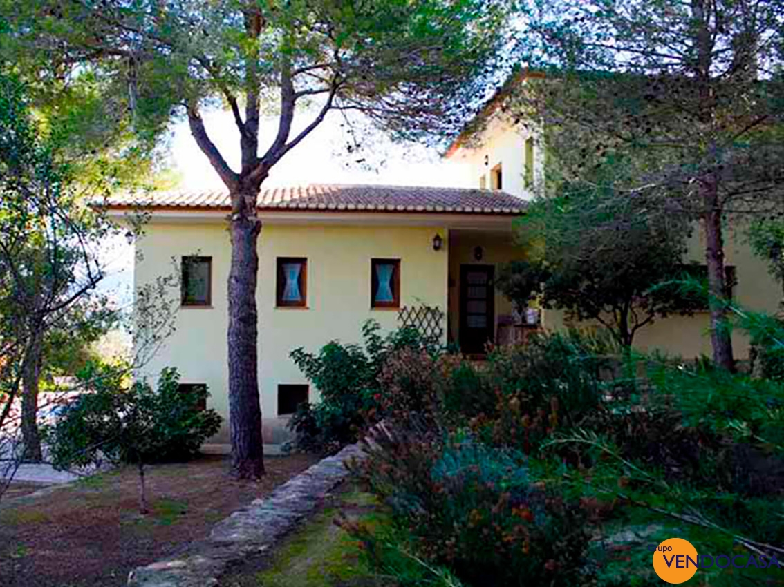 Superb Finca with horses & stables