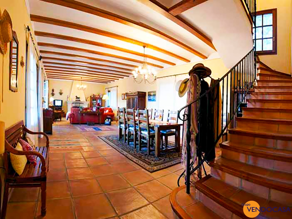 Superb Finca with horses & stables