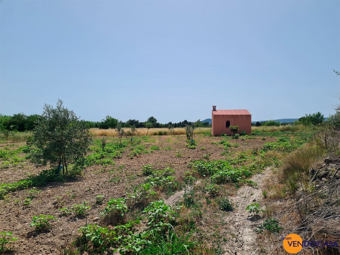 Little building on a large rustic plot