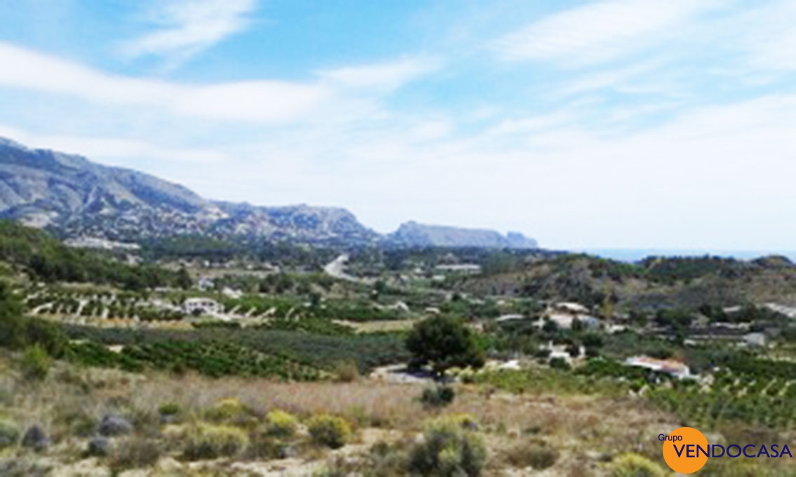 Huge 16253 M2 plot in Altea