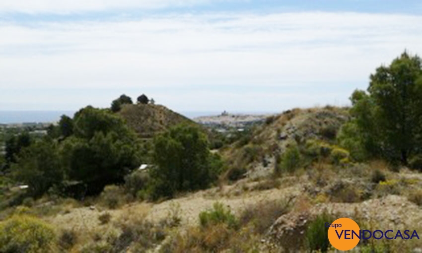 Huge 16253 M2 plot in Altea