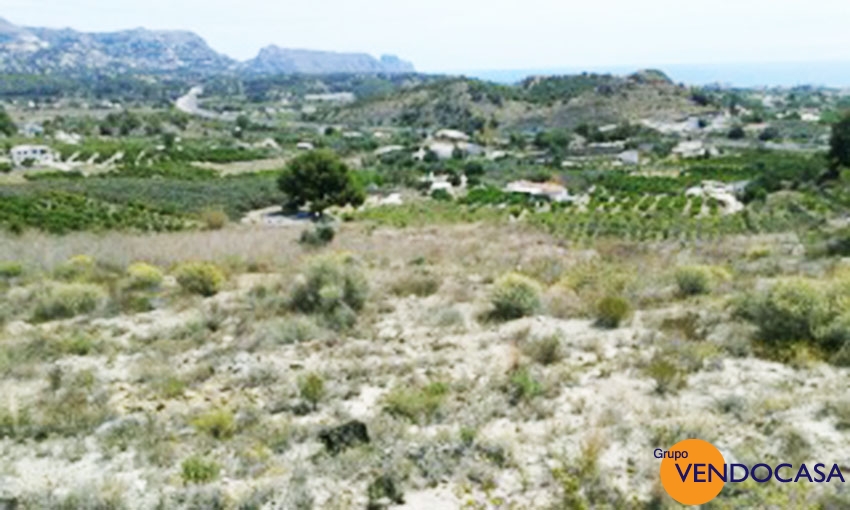 Huge 16253 M2 plot in Altea