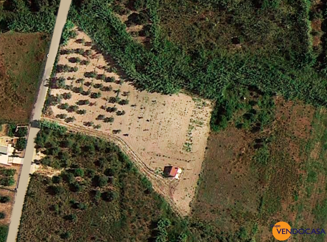 Little building on a large rustic plot