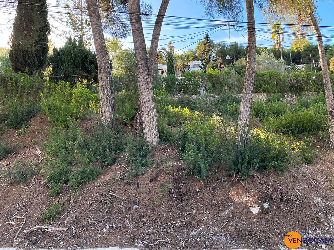 1025M2 plot with project & licence