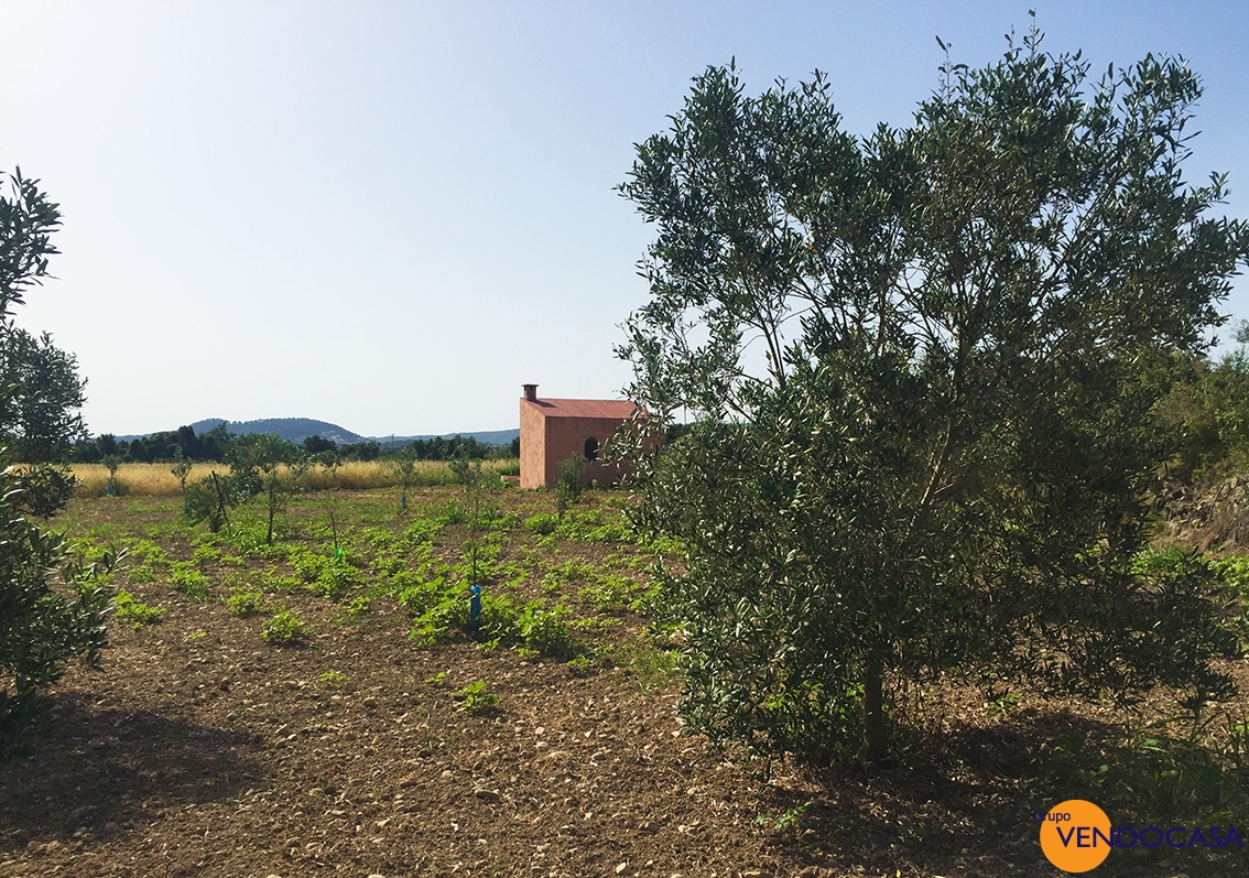 Little building on a large rustic plot