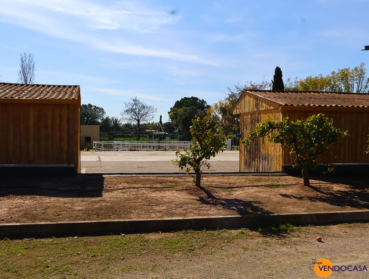 Equestrian Property Betera Valencia