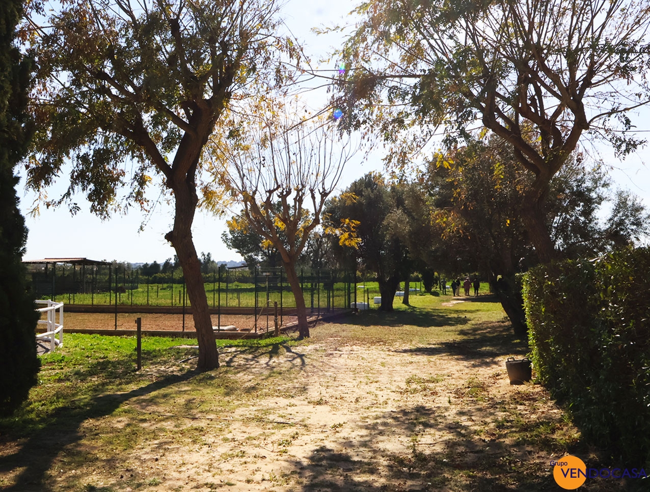 Equestrian Property Betera Valencia