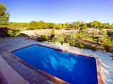 Superb Finca with horses & stables