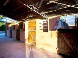 Superb Finca with horses & stables