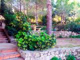 Superb Finca with horses & stables