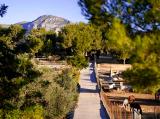 Superb Finca with horses & stables