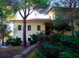 Superb Finca with horses & stables