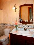 Superb Finca with horses & stables