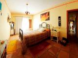 Superb Finca with horses & stables