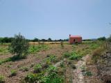 Little building on a large rustic plot