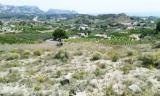 Huge 16253 M2 plot in Altea