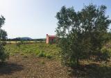 Little building on a large rustic plot