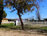 Equestrian Property Betera Valencia