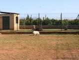 Equestrian Property Betera Valencia