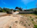 Superb traditional finca in Javea