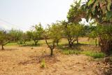 NIce countryhouse on a huge plot