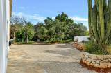 Beautiful Andalusian style finca