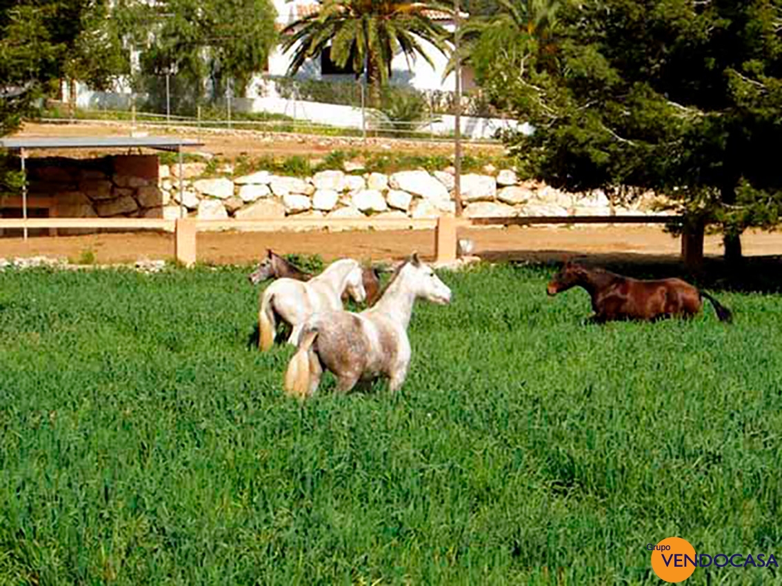Superb Finca with horses & stables
