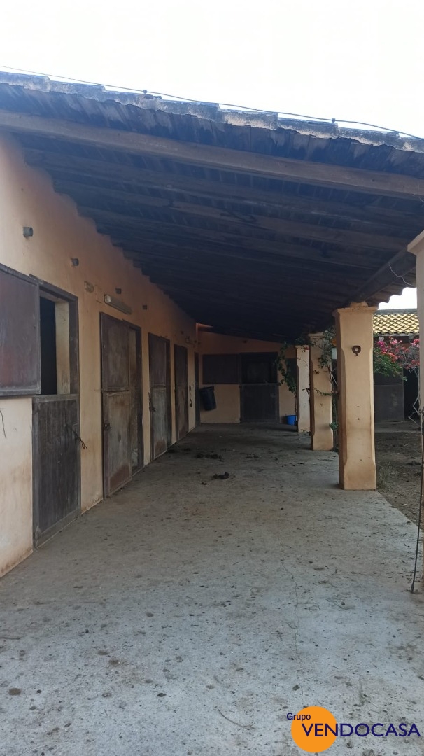 Unique large finca for horses in Ibiza