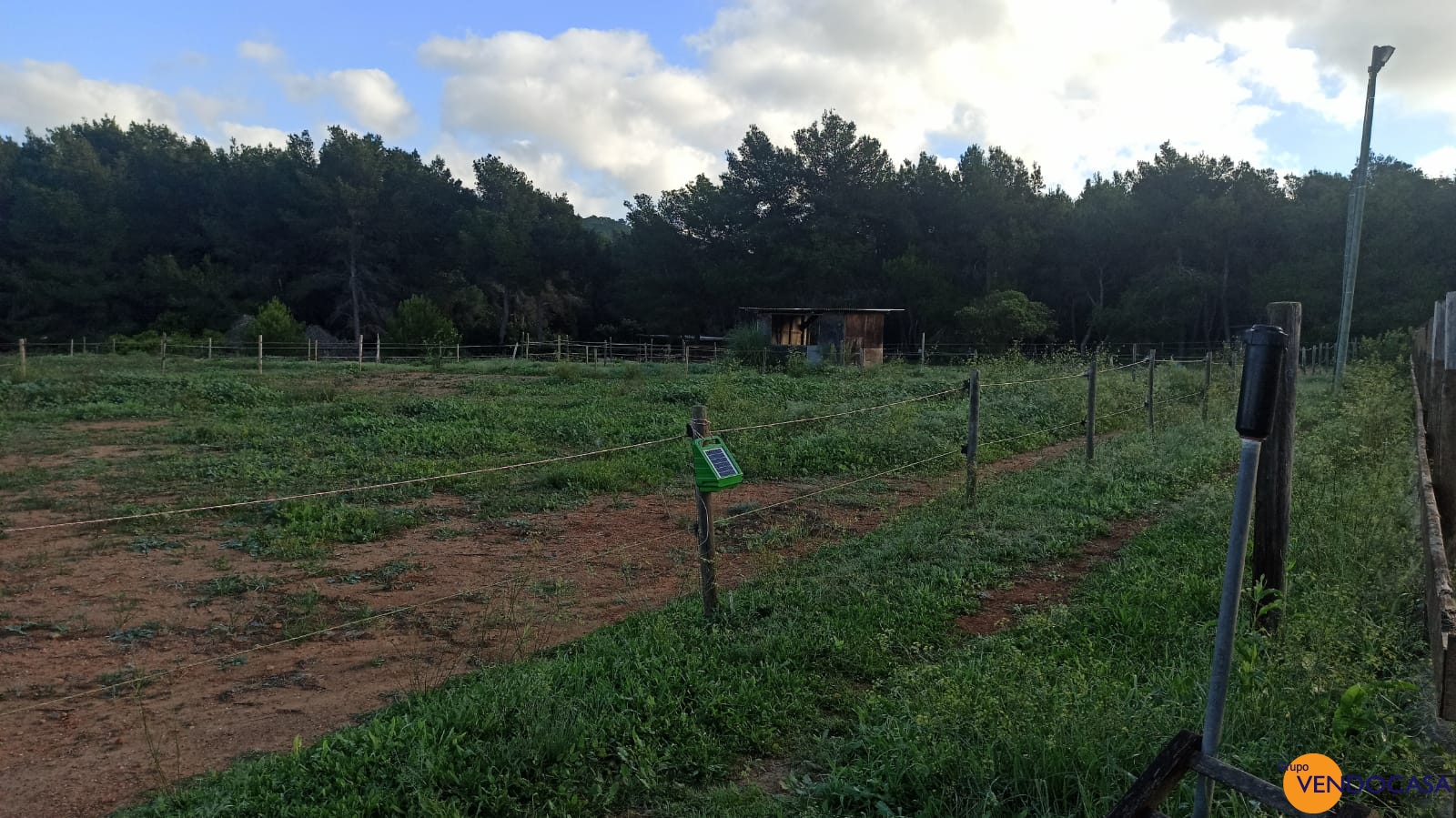 Unique large finca for horses in Ibiza