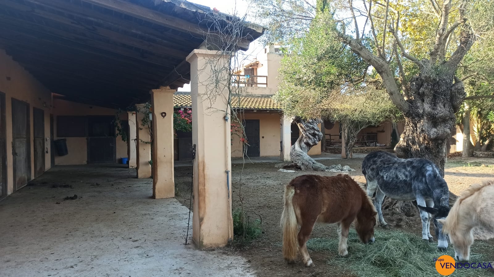 Unique large finca for horses in Ibiza