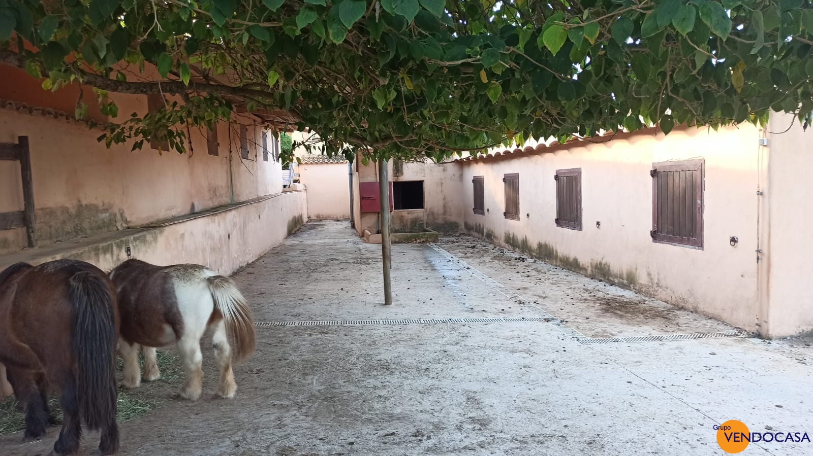 Unique large finca for horses in Ibiza