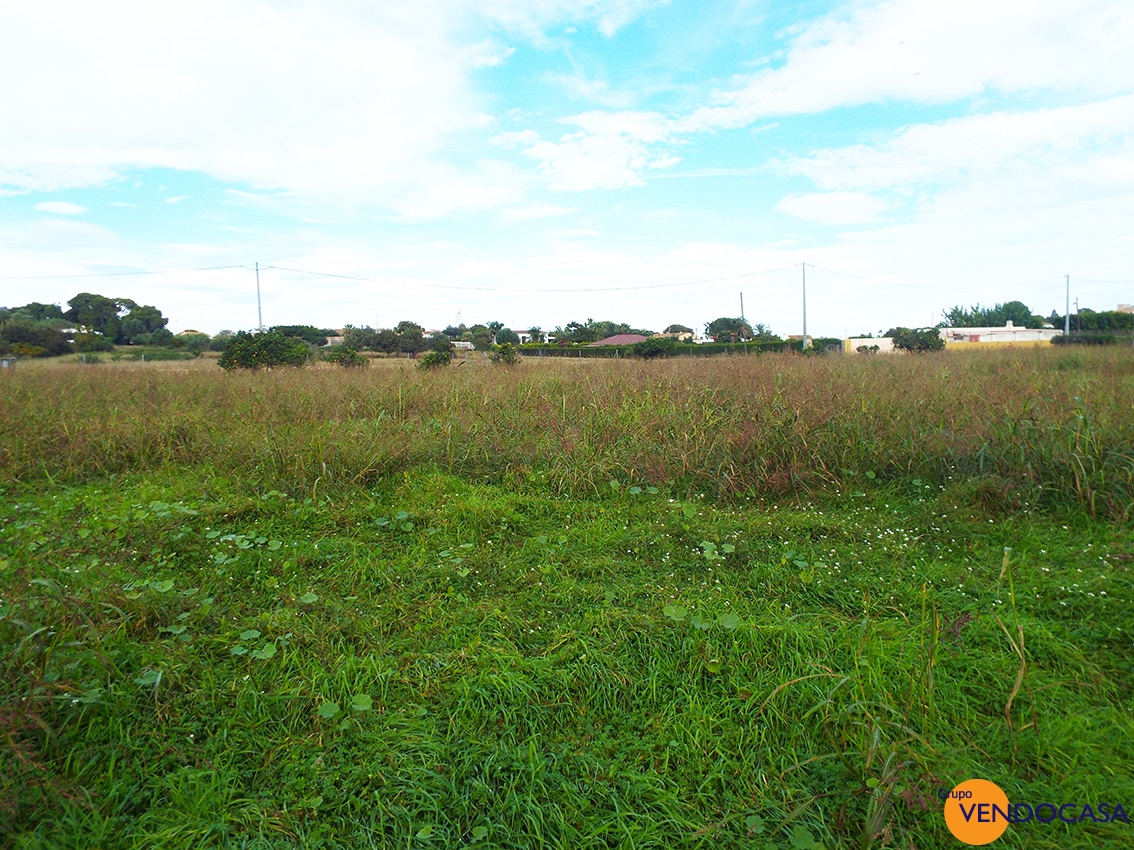 Large rustic plot in Denia