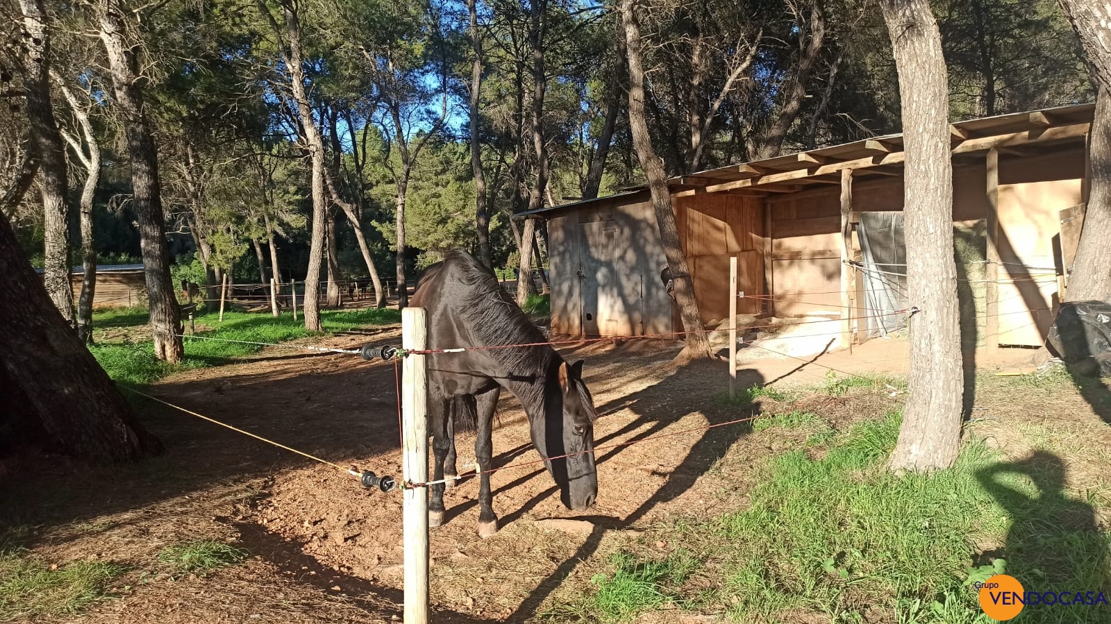 Unique large finca for horses in Ibiza