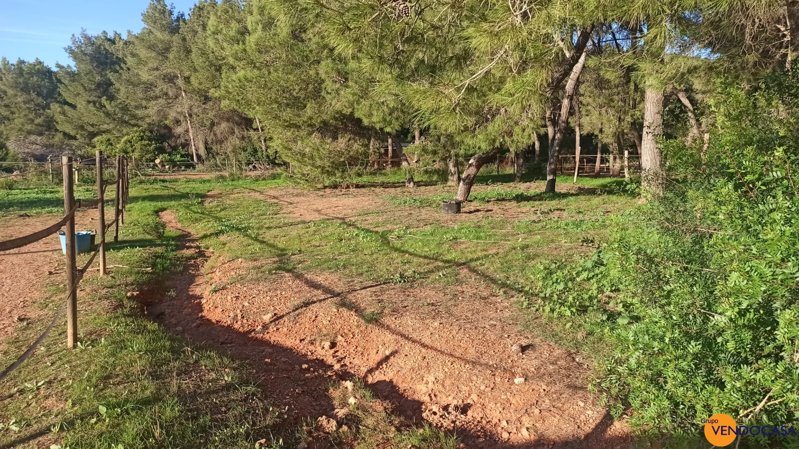 Unique large finca for horses in Ibiza