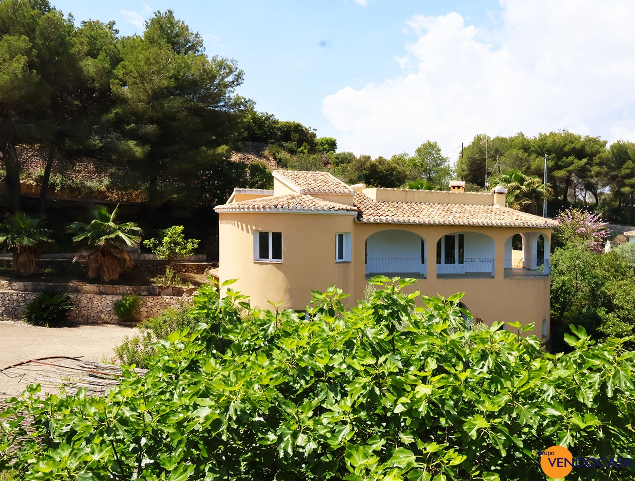 Stunning villa with seaview