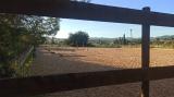 Unique large finca for horses in Ibiza