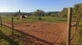 Unique large finca for horses in Ibiza