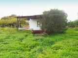 Large rustic plot in Denia