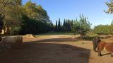 Unique large finca for horses in Ibiza