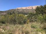 Nice plot at Montg near Jesus pobre