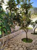 Magnificent 3 bedroom villa at Moraira