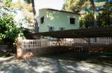 Special Unique finca - good Investment - 5 houses